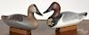 Pair of carved and painted canvasback duck decoys, mid 20th c., 16'' l.