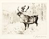 Carl Rungius (1869–1959) — A Woodland Stag