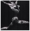 Underwater Nude by Brett Weston, 1982