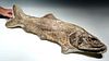 Museum Quality Fossilized Paraelops Fish in Matrix