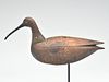 Large curlew from Cobb Island, Virginia, 1st quarter 20th century.