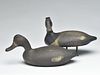 Pair of bluebills from the Crisfield area of Maryland, 2nd quarter 20th century.