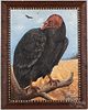Large oil on artist board portrait of a buzzard