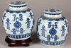 Pair of Chinese blue and white ginger jars
