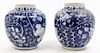 * A Pair of Blue and White Porcelain Jars Height 10 inches.