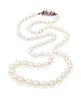 * A Vintage Single Strand Pearl Necklace with a Ruby and Diamond Clasp,