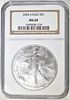 2004 AMERICAN SILVER EAGLE NGC MS 69