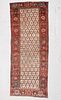 Antique West Persian Rug: 3'4" x 8'3" (102 x 251 cm)