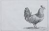 * A Set of Two Lithographs of Fowl Each: 8 3/4 x 11 1/2 inches.