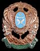 Antique Russian Imperial Bronze Enamel Infantry Medal