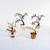 4 Decorative Bonsai Trees
