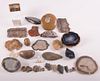 Rock, Mineral, & Fossil Collection, (39)
