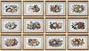 12 Framed Asian Pith Paintings