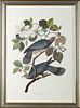 John James Audubon (1785-1851), "Band-tailed Pigeo