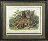John James Audubon (1785-1851), "The Jaguar-Female