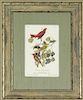 John James Audubon (1785-1851), "Summer Red-bird,"