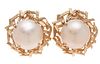Mabe Pearl Earrings in 14k Yellow Gold 