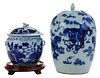 Two Chinese Porcelain Blue and White