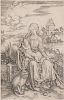 Albrecht Dürer (German, 1471-1528)      The Virgin and Child with Monkey