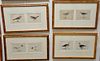 Set of ten hand colored double framed bird lithographs by Francis Orpen Morris from the History of British Birds including Laughing ...