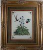Hummingbird & Botanical Print, Rococo Style Frame
