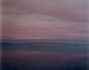Richard Misrach
Salton Sea Overview (Pink),