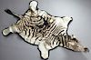 Zebra Skin, early 20th c., with head, H.- 88 in.,