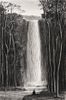 Tomas Sanchez (Cuba, b. 1948) Waterfall/Cascada, 2007, charcoal on paper, 18 x 12 in.