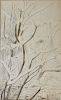 George Bailey Hopkins (Vermont 1854-1894) Winter scene branches in pen and ink 9 x 14"