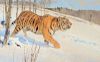 BOB KUHN (1920-2007), Siberian Tiger: King of Cats (2000)