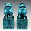 A PAIR 19TH CENT CHINESE PORCELAIN BUDDHIST LIONS