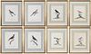 Two Sets of Four Ornithological Prints 