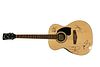 Hootie and The Blowfish Signed Ibanez Acoustic Guitar