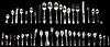 51 Pcs. Assorted American Sterling Silver Flatware