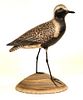 Black-Bellied Plover by A. Elmer Crowell