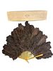 1900 French Ostrich Feather & Tortoise Shell Hand Fan LUCILLE CHICAGO