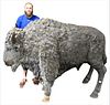 Life Size Bronze Standing Bison Figure