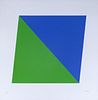 Ellsworth Kelly ''Blue/Green'' 1970 Color Lithograph
