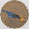 Morris Graves ''Young Blue Jay with Persimmon'' 1979
