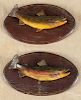 John Pierce, two carved and painted fish plaques, mid 20th c., one retaining its original label