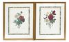 2 Offset Botanical Lithos, After Redoute