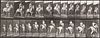 Eadweard Muybridge 1887 collotype Jumping Hurdle Bareback