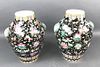 Pair of Asian Floral Decorated Vases
