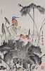 Chinese Ink & Color Kingfisher with Lotus Painting mounted as Scroll
