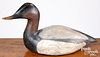 Ward Brothers  carved canvasback duck decoy