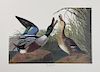 John James Audubon (1785-1851), "Shoveller Duck,"