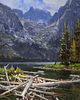 Jim Wilcox | Lake, Mountains, Logs