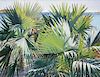 Nicholas Wilson | Bird Flying by Palm Trees (desc)
