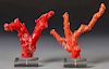 2 Red Coral Branches on Stands