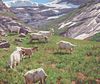 Tucker Smith (b. 1940) Goats of Norway, 2004
